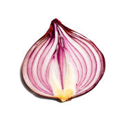 Onion Search Engine Logo